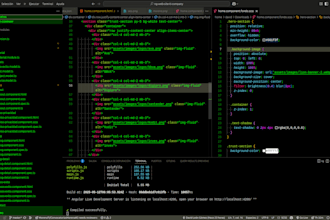 fix and improve your angular and nodejs application