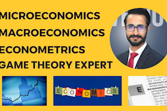 write on microeconomics, macroeconomics, game theory and econometrics