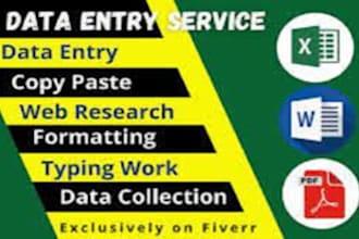 be your virtual assistant for data entry, data mining, copy paste, web research