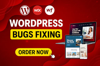 fix wordpress errors, woocommerce issues, bugs, css, provide wp help