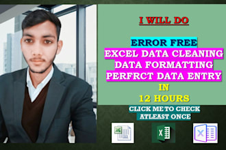 excel data clean, format, excel data entry