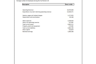 file uae vat and corporate tax for your business professionally