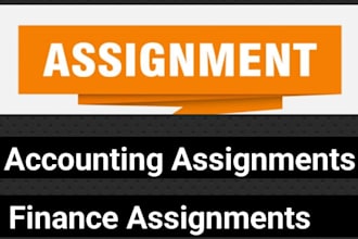 do accounting and finance assignment , excel project , financial analysis report