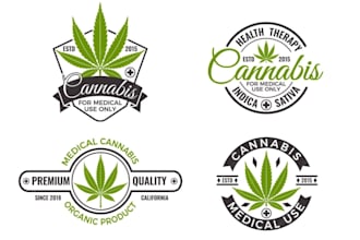 design premium quality cannabis weed 420 hemp cbd oil mascot logo for you