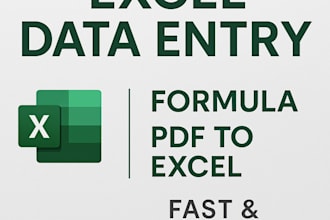 do manual PDF to excel data entry, formatting and cleanup