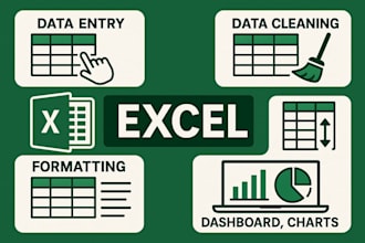 data entry, data cleaning, charts, dashboards in excel