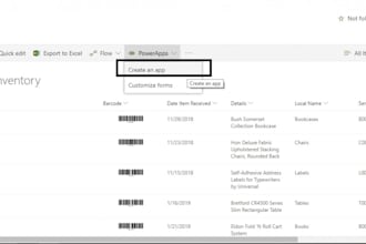 build a custom power app to streamline your business process