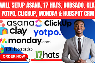 setup asana, 17hats, dubsado,  clay, yotpo, clickup, monday and hubspot CRM