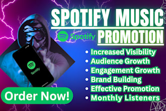 do viral organic USA targeted spotify music promotion