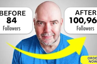 get 500k crypto twitter followers, twltter x marketing crypto telegram promotion