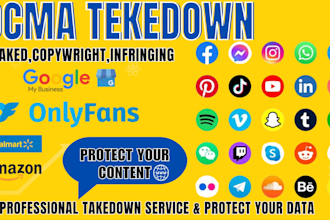 erase content on google,onlyfans,reddit,telegram,tiktok,fb,yotube under dmca sm