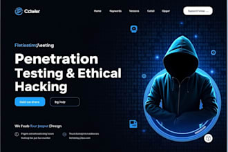 perform professional penetration testing and secure your site