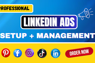 do linkedin marketing, setup and manage ads campaign