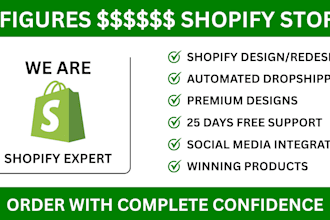 shopify store expert, fast setup, bug fixes, speed optimization