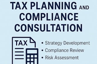 provide corporate tax planning and compliance consultation