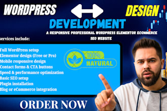 create a responsive professional wordpress elementor ecommerce SEO website