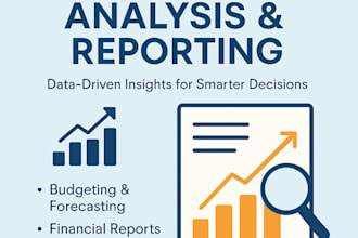 provide financial analysis and reporting