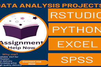 do statistical data analysis, r studio ,spss,python,excel and r programming