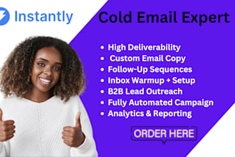 build and run high converting b2b cold email campaigns with instantly ai