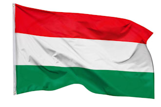 teach you hungarian online