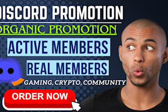 discord promotion, gameing server promotion, discord advertising for fast growth