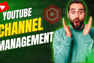 be your youtube channel manager and success advisor