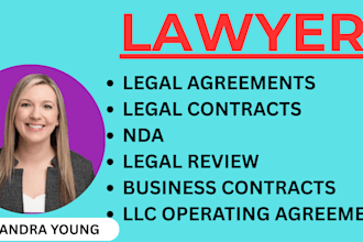 draft or review your business contract, legal agreement, nda or terms of servic