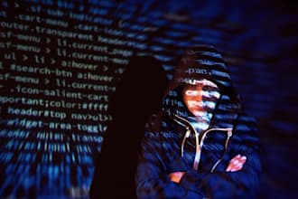 perform a full website penetration test and provide a detailed report