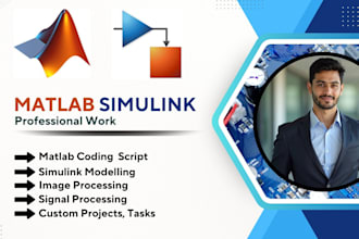 do urgent matlab, simulink, vbscript programming, task, project, and expert help