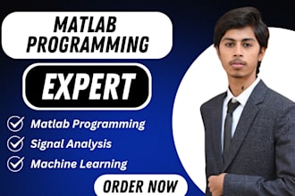 do matlab programming and machine learning