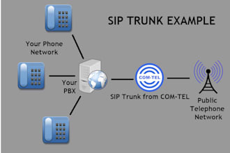 arrange sip user, sip routes and sip trunks for USA spoof api, did number