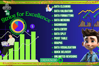 do dashboard excel data cleaning formating sort split merge organize data entry