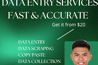 excel data entry typing work job copy paste typing and web research