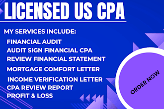 do us financial statement, cpa financial audit 1120 5472 1040