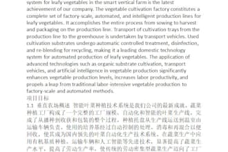 provide professional english and chinese translation