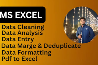 do data entry, cleaning, PDF to excel organize big excel data files