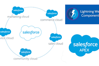 provide senior level salesforce development and consulting