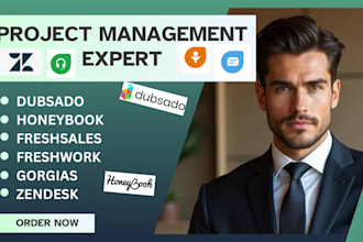 setup dubsado, freshdesk, honeybook freshwork, gorgias for your business