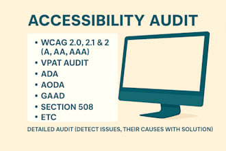 perform audits for website, web accessibility testing
