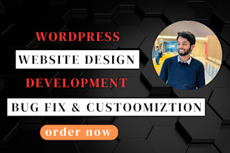 build, customize, fix bugs, and support your wordpress website