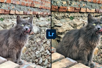 professionally edit your photos in lightroom