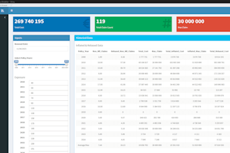 create an r shiny application for you