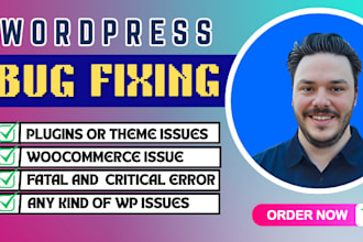 fix wordpress bugs, errors, speed issues, elementor and theme conflicts