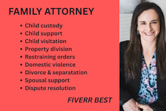 provide divorce settlement, child support, or family litigation services