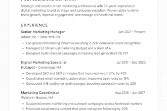 write a professional resume for chicago area professionals