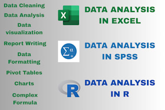 do data analysis in microsoft excel, spss and r for your project
