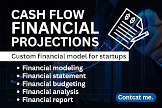 create investor ready financial projections, models, valuation and cash flow
