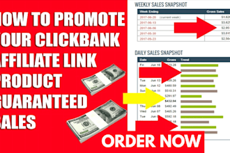 promote your clickbank affiliate link to a targeted niche audience