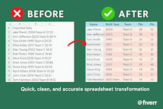 professional spreadsheet cleanup and data organization