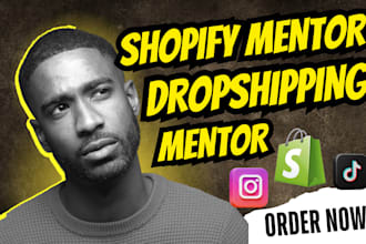 be shopify coach dropshipping mentor shopify consultation shopify mentor